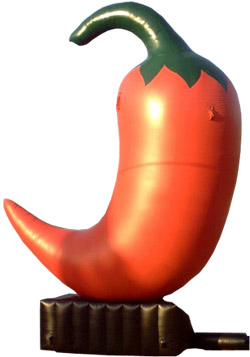 Chilli 20ft Ideas, click here to see large picture.