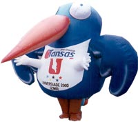 Bird, click here to see large picture.